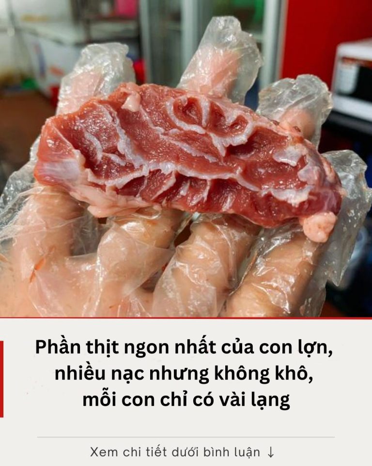 Phần thịt ngon nhất của con lợn, nhiều nạc nhưng không khô, mỗi con chỉ có vài lạng