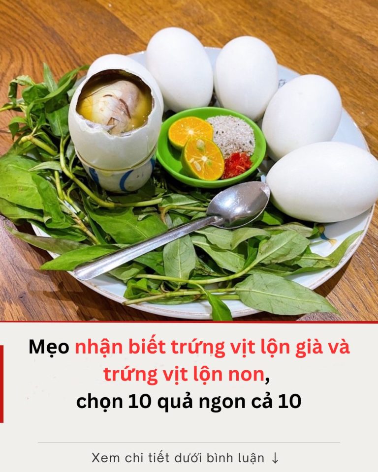 Mẹo nhận biết trứng vịt lộn già và trứng vịt lộn non, chọn 10 quả ngon cả 10