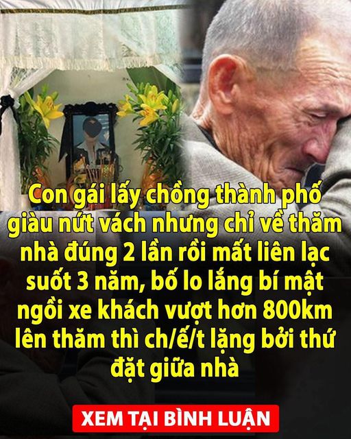 Con gái lấy chồng thành phố giàu nứt vách nhưng chỉ về thăm nhà đúng 2 lần rồi mất liên lạc suốt 3 năm, bố lo lắng bí mật ngồi xe khách vượt hơn 800km lên thăm thì ch/ế/t lặng bởi thứ đặt giữa nhà