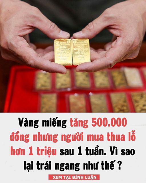 Vàng miếng tăng 500.000 đồng nhưng người mua thua lỗ hơn 1 triệu sau 1 tuần