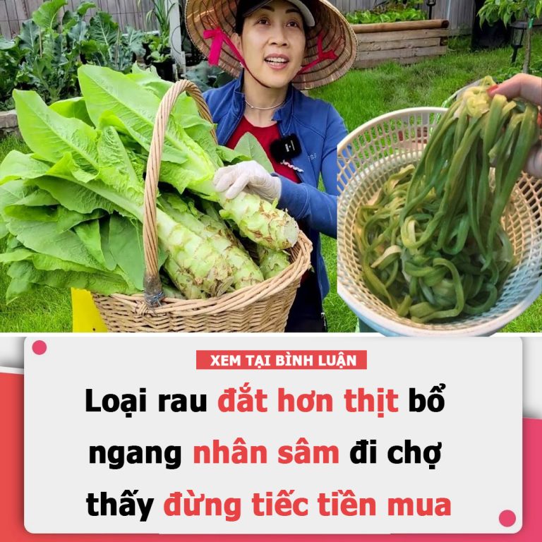 Loại rau đắt hơn thịt, bổ ngang nhân sâm, đi chợ thấy đừng tiếc tiền mua