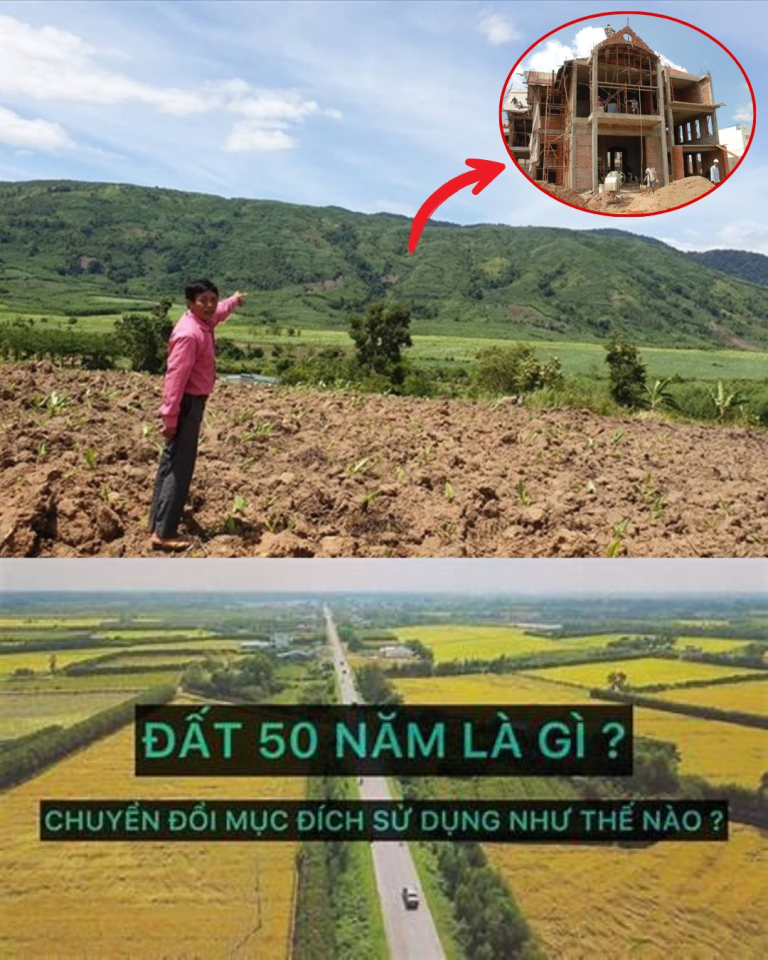 Chuyển đất 50 năm lên đất ở mất bao nhiêu tiền? Người dân khi nào mới được chuyển? 5 Tháng mười một, 2024