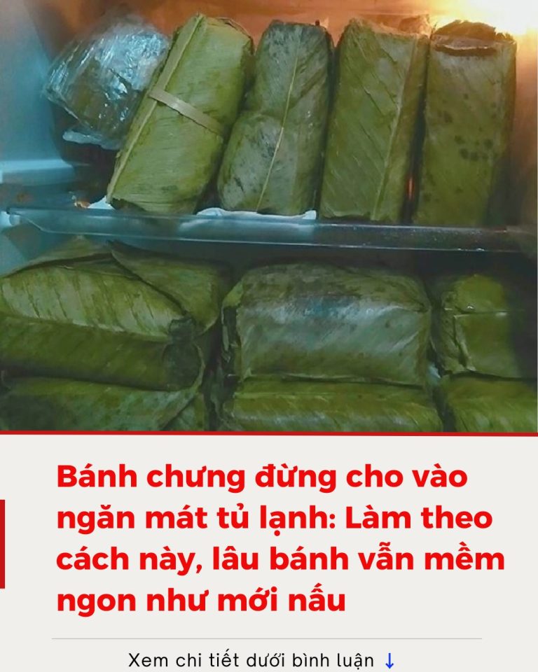 Bánh chưng đừng cho vào ngăn mát tủ lạnh: Làm theo cách này, lâu bánh vẫn mềm ngon như mới nấu