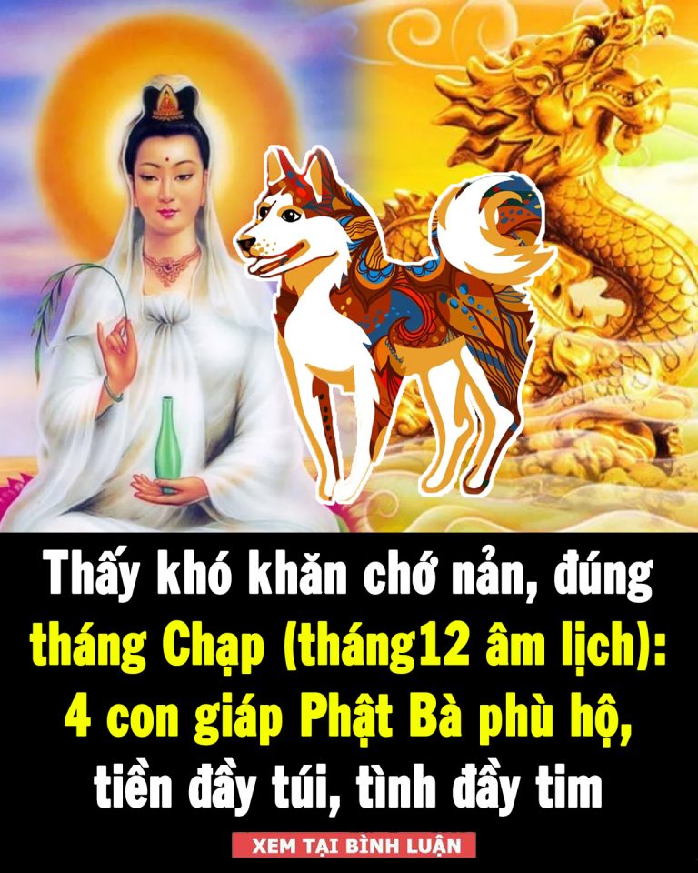 Thấy khó khăn chớ nản, đúng tháng Chạp (tháng12 âm lịch): 4 con giáp Phật Bà phù hộ, nhận thưởng lớn