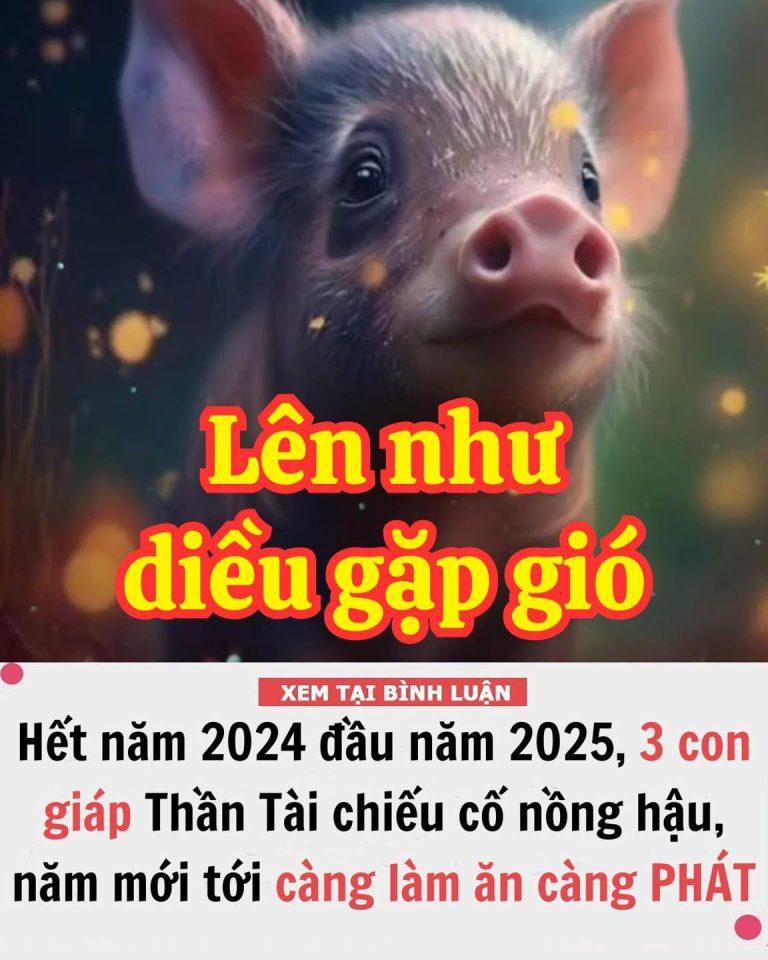 Hết năm 2024 đầu năm 2025, 3 con giáp Thần Tài chiếu cố nồng hậu, năm mới tới càng làm ăn càng PHÁT ĐẠT, đời nở hoa, ngồi mát ăn bát vàng