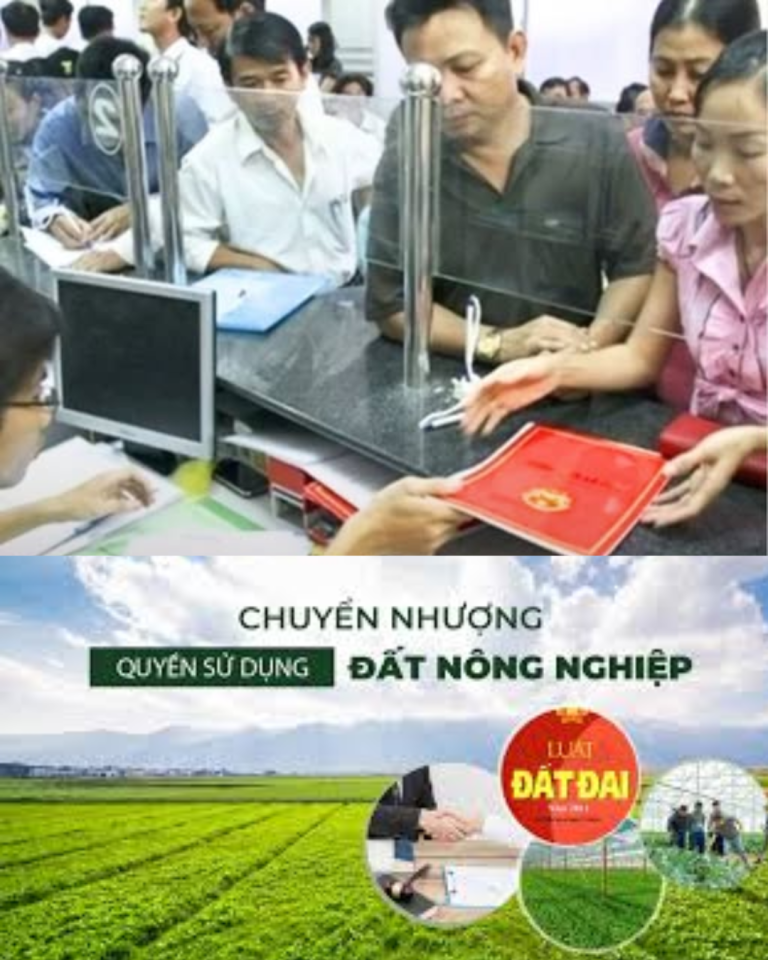 Chi phí chuyển đất nông nghiệp sang đất thổ cư 2024