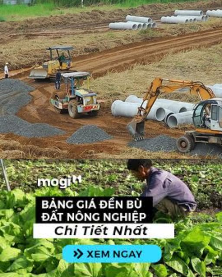 Cách tính giá đền bù khi bị thu hồi đất nông nghiệp MỚI NHẤT