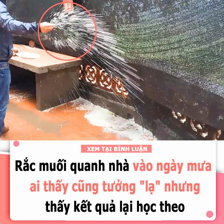 Rắc muối quanh nhà vào ngày mưa, ai thấy cũng tưởng “dở hơi” nhưng thấy kết quả lại học theo