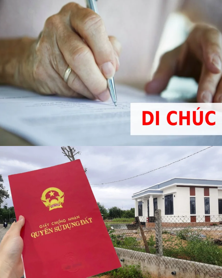 2 trường hợp di chúc không có hiệu lực thực hiện, ai cũng cần biết…