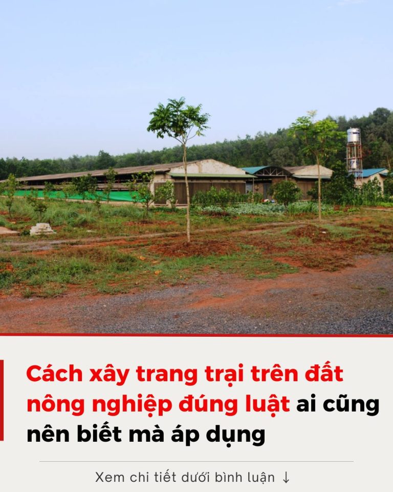 Năm 2025: Cách xây trang trại trên đất nông nghiệp, người dân nên nắm rõ