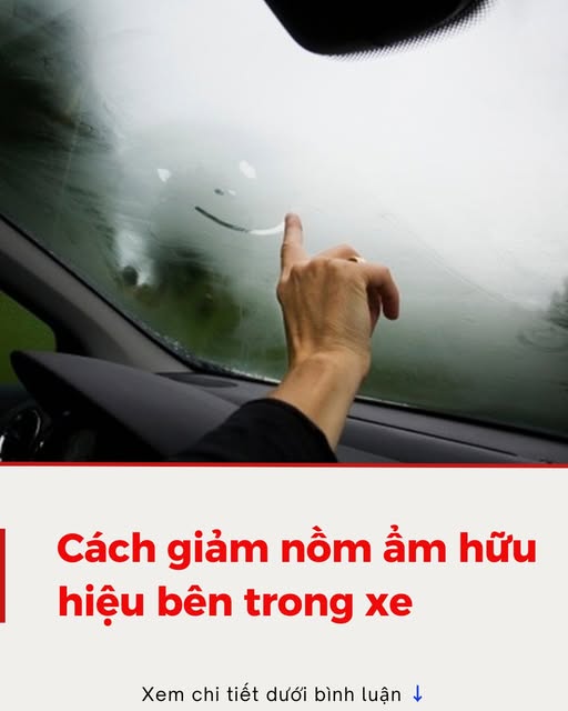 Cách giảm nồm ẩm hữu hiệu bên trong xe