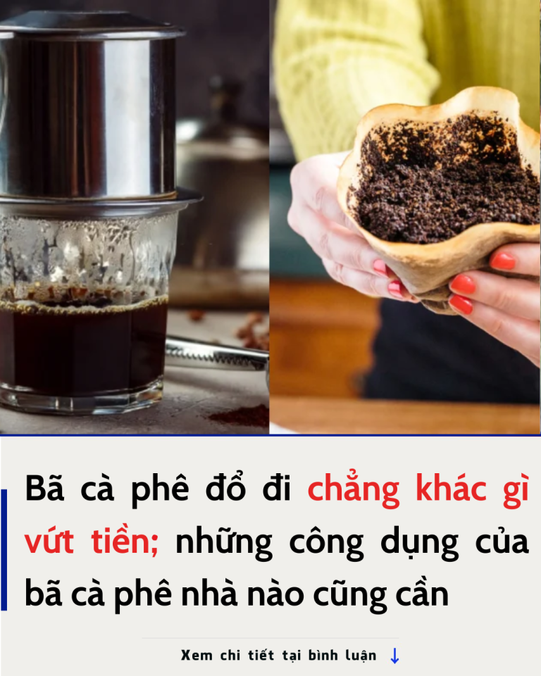 Bã cà phê dùng xong đừng vội bỏ đi, chúng còn nhiều giá trị mà bạn nên tận dụng