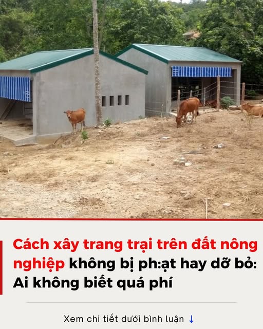 Cách xây trang trại trên đất nông nghiệp đúng luật bạn nên biết