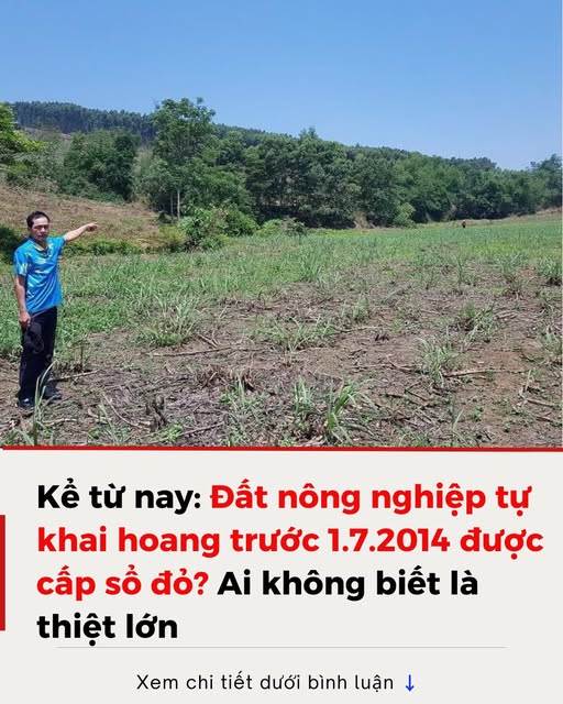 Đất nông nghiệp tự khai hoang trước 1.7.2014 được cấp sổ đỏ?