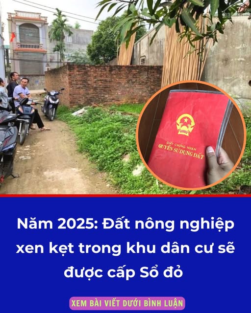Năm 2025: Đất nông nghiệp xen kẹt trong khu dân cư sẽ được cấp sổ đỏ nếu đủ điều kiện này