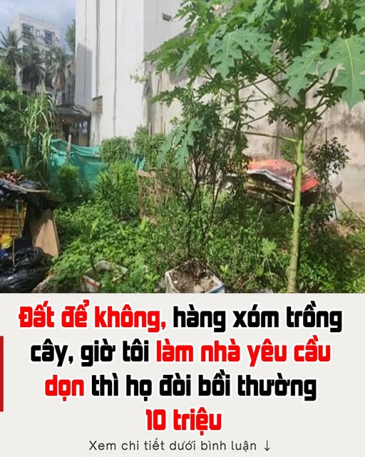 Có phải đền bù hoa màu khi lấy lại đất?