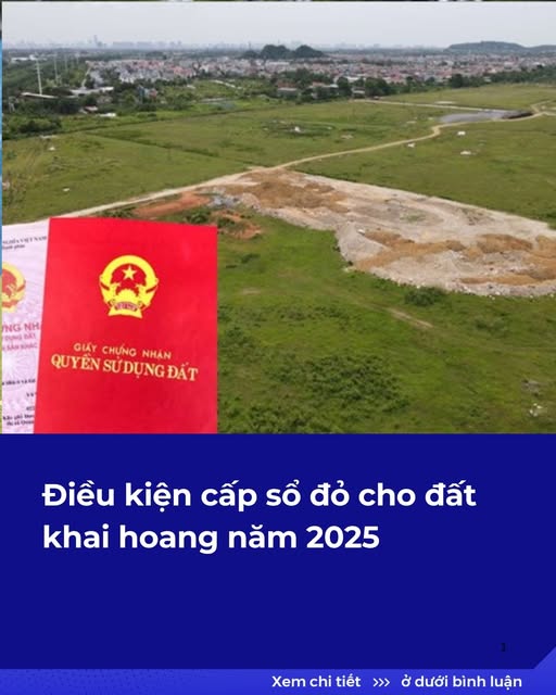 Điều kiện cấp sổ đỏ cho đất khai hoang năm 2025