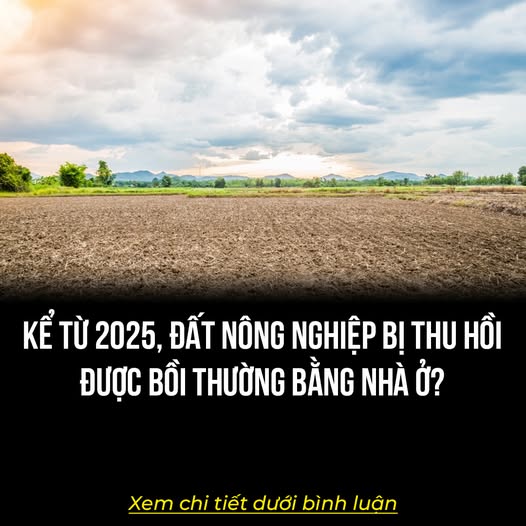 Kể từ 2025, đất nông nghiệp bị thu hồi được bồi thường bằng nhà ở?