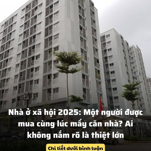 Nhà ở xã hội 2025: Một người được mua cùng lúc mấy căn nhà? Ai không nắm rõ là thiệt lớn