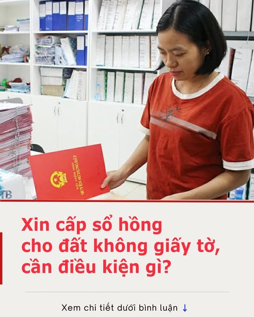 Xin cấp sổ hồng cho đất không giấy tờ, cần điều kiện gì?