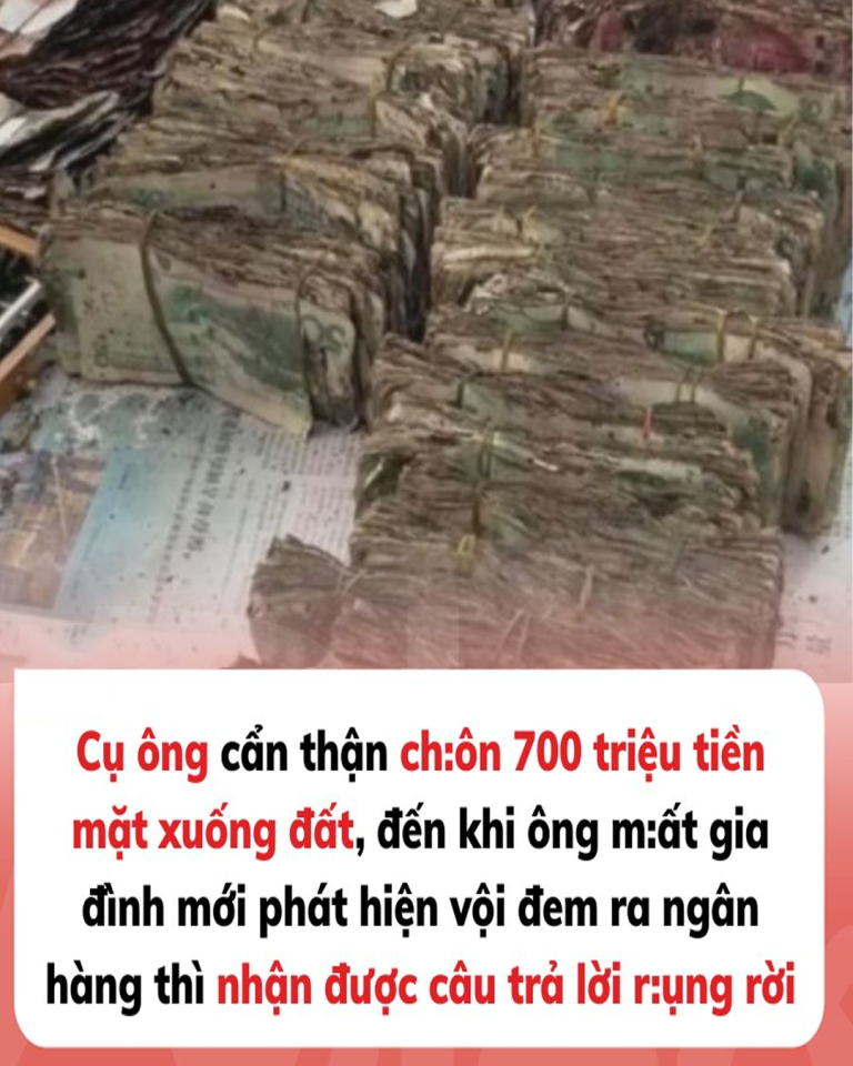 Cụ ông chôn 700 triệu đồng tiền mặt dưới đất, khi con cháu phát hiện ra thì “khóc ròng”