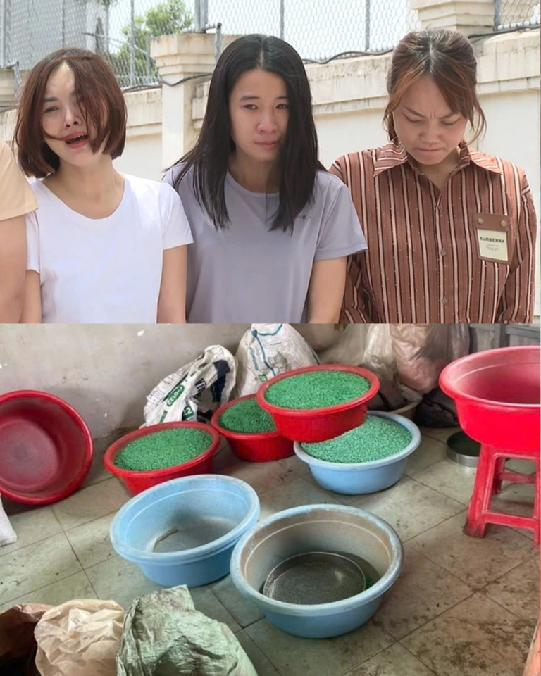 Vụ sản xuất thuốc giả giao dịch hơn 200 tỷ: ‘Lộ’ nữ 9X từng bị phạt