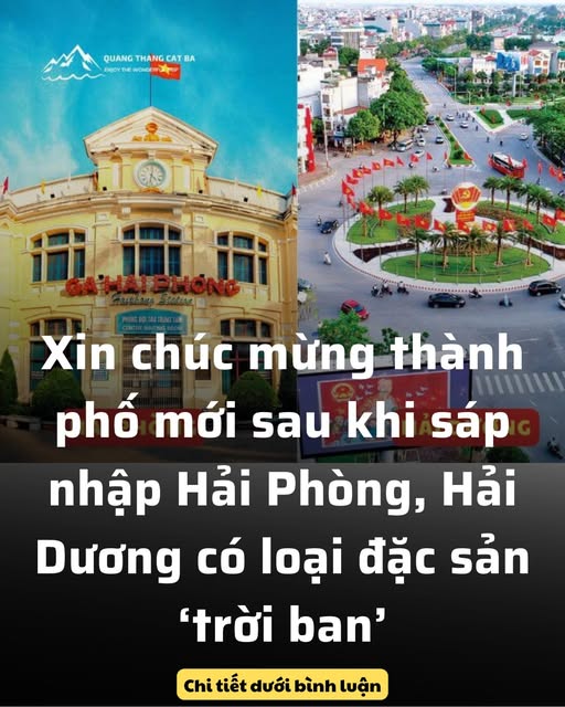 Xin chúc mừng thành phố mới sau khi sáp nhập Hải Phòng, Hải Dương có loạt đặc sản ‘trời ban’
