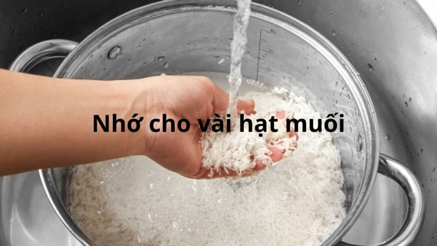 cho-muoi-vao-vo-gao