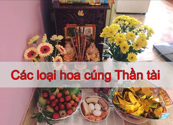 cac-loai-hoa-cung-than-tai