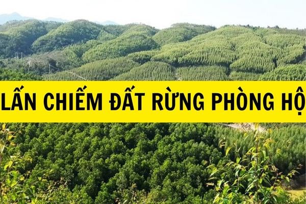 Việc xây nhà trên đất rừng phòng hộ bị phạt lên tới 500 triệu đồng